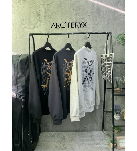 아크테릭스 도마뱀 맨투맨 (3color)