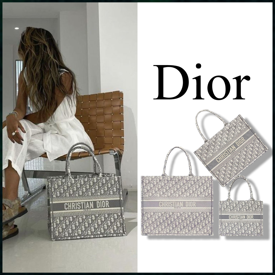 크리스찬 디올 오블리크 북토트 백 그레이 풀박스 - 3 Size