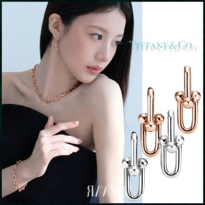 티파니앤코 하드웨어 라지 링크 이어링 - 2 Color