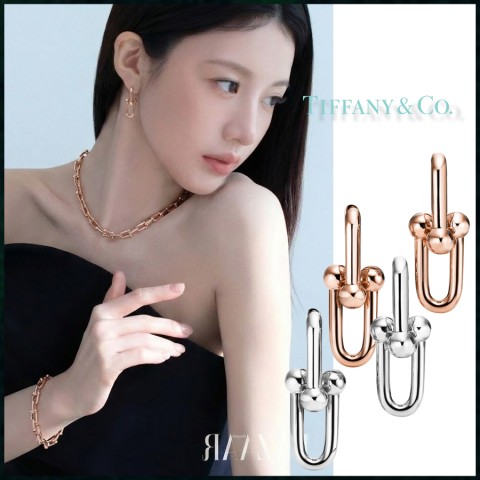 티파니앤코 하드웨어 라지 링크 이어링 - 2 Color